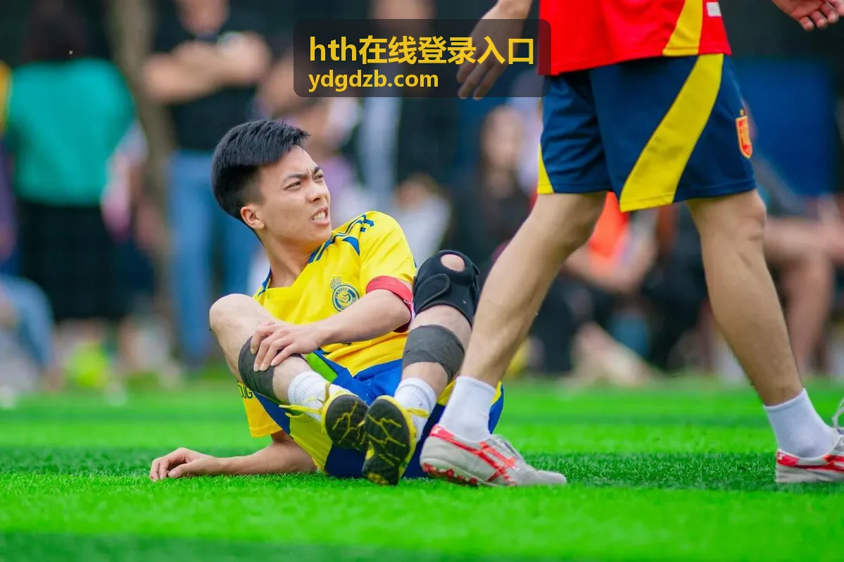 hth在线登录入口会员等级权益栏目封面