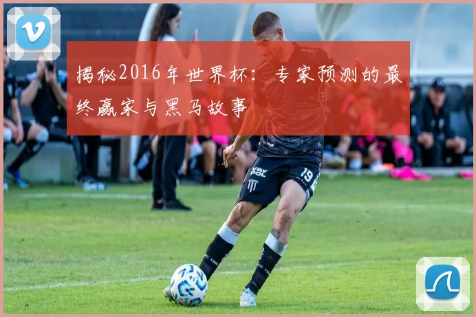 揭秘2016年世界杯：专家预测的最终赢家与黑马故事