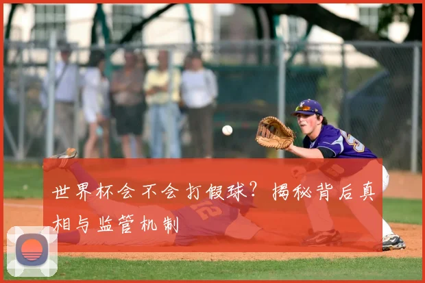 世界杯会不会打假球?揭秘背后真相与监管机制