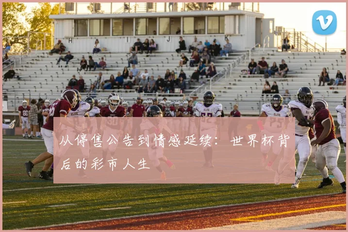从停售公告到情感延续：世界杯背后的彩市人生