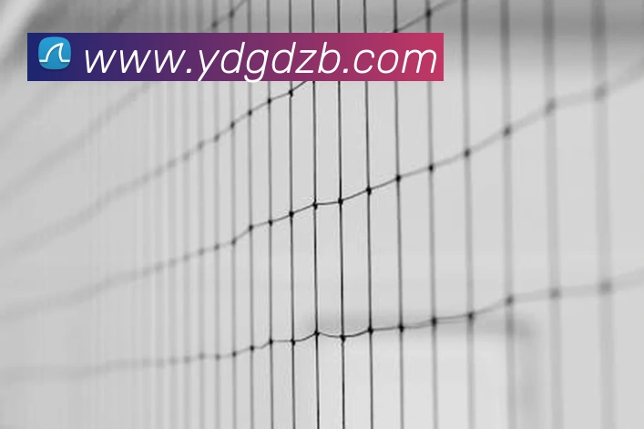 开云官方网最新版服务体系